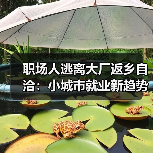 职场人逃离大厂返乡自洽：小城市就业新趋势（图4）
