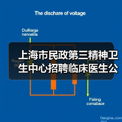 上海市民政第三精神卫生中心招聘临床医生公告（图3）