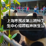 上海市民政第三精神卫生中心招聘临床医生公告（图2）