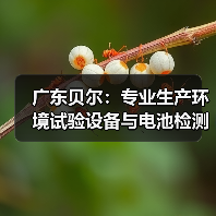 广东贝尔:专业生产环境试验设备与电池检测设备的高科技企业(图2) 广东贝尔:专业生产环境试验设备与电池检测设备的高科技企业(图2)