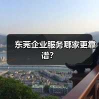 东莞企业服务哪家更靠谱？（图1）