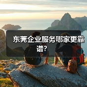 东莞企业服务哪家更靠谱？（图3）