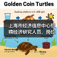 上海市经济信息中心招聘经济研究人员，岗位职责与应聘条件一览（图2）