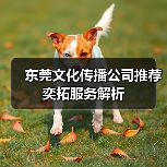 东莞文化传播公司推荐 奕拓服务解析（图4）