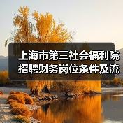 上海市第三社会福利院招聘财务岗位条件及流程详解（图2）