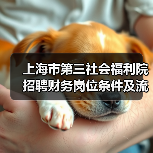 上海市第三社会福利院招聘财务岗位条件及流程详解（图1）