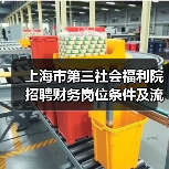 上海市第三社会福利院招聘财务岗位条件及流程详解（图3）