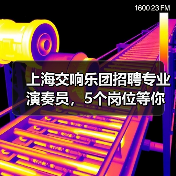 上海交响乐团招聘专业演奏员，5个岗位等你挑战！（图2）