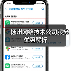 扬州网络技术公司服务优势解析（图2）