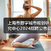 上海市数字城市规划研究中心2024招聘公告最新岗位信息（图2）