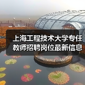 上海工程技术大学专任教师招聘岗位最新信息（图2）