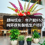 顺裕纸业：年产能65万吨环保包装纸生产标杆（图4）