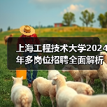 上海工程技术大学2024年多岗位招聘全面解析:岗位信息与申请方法(图3) 上海工程技术大学2024年多岗位招聘全面解析:岗位信息与申请方法(图3)