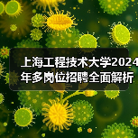 上海工程技术大学2024年多岗位招聘全面解析:岗位信息与申请方法(图1) 上海工程技术大学2024年多岗位招聘全面解析:岗位信息与申请方法(图1)