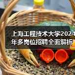 上海工程技术大学2024年多岗位招聘全面解析:岗位信息与申请方法(图2) 上海工程技术大学2024年多岗位招聘全面解析:岗位信息与申请方法(图2)