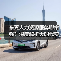 东莞人力资源服务哪家强？深度解析大时代实力（图3）