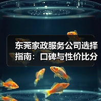 东莞家政服务公司选择指南：口碑与性价比分析（图2）
