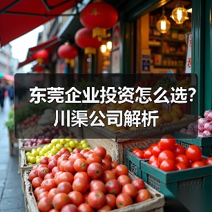 东莞企业投资怎么选？川渠公司解析（图3）