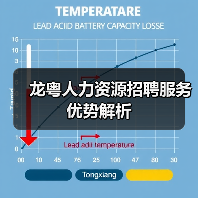 龙粤人力资源招聘服务优势解析（图4）