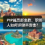 PIP裁员新套路,职场人如何识破并反击?(图3) PIP裁员新套路,职场人如何识破并反击?(图3)