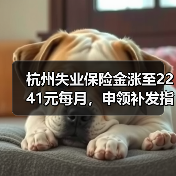 杭州失业保险金涨至2241元每月，申领补发指南（图4）