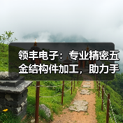 领丰电子:专业精密五金结构件加工,助力手机数码产品制造(图2) 领丰电子:专业精密五金结构件加工,助力手机数码产品制造(图2)