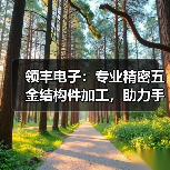 领丰电子:专业精密五金结构件加工,助力手机数码产品制造(图1) 领丰电子:专业精密五金结构件加工,助力手机数码产品制造(图1)