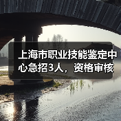 上海市职业技能鉴定中心急招3人，资格审核与面试全解析（图2）